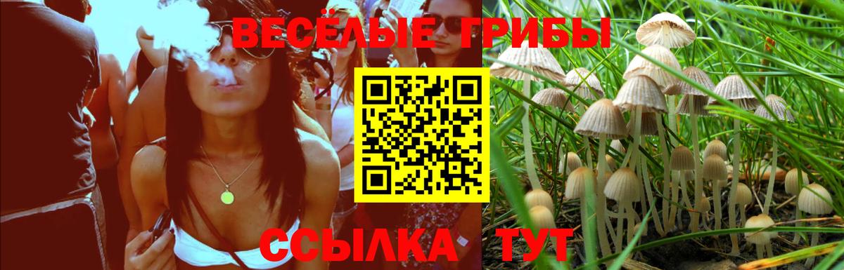 Галлюциногенные грибы Cubensis Ангарск